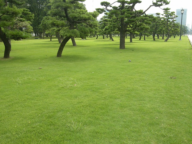 e0162959_2222586.jpg