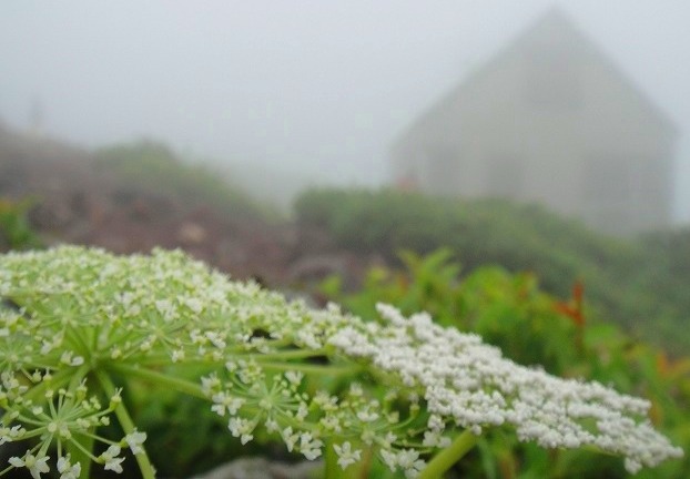 ＜10年７月24-25日＞2010夏：雨に煙った東北の山旅（早池峰・船形山）_c0119160_6421466.jpg