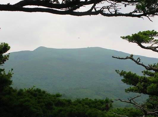 ＜10年７月24-25日＞2010夏：雨に煙った東北の山旅（早池峰・船形山）_c0119160_643258.jpg