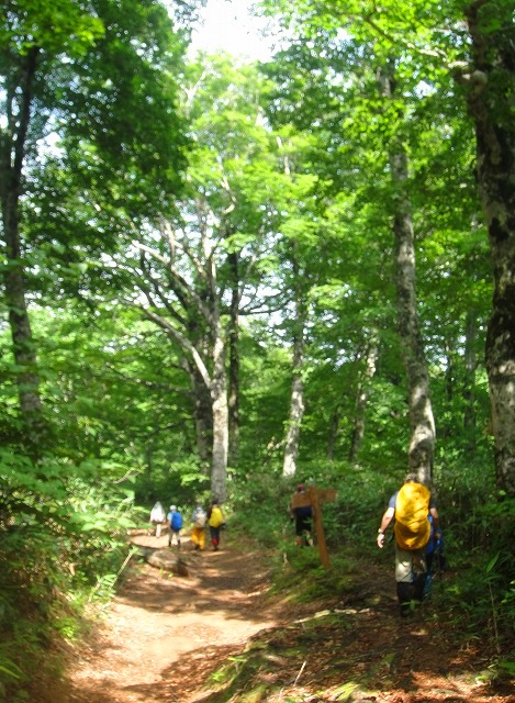 ＜10年７月24-25日＞2010夏：雨に煙った東北の山旅（早池峰・船形山）_c0119160_6441966.jpg