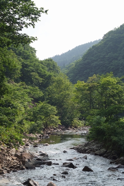 渇水の渓で夏ヤマメと遊ぶ_c0157761_654021.jpg