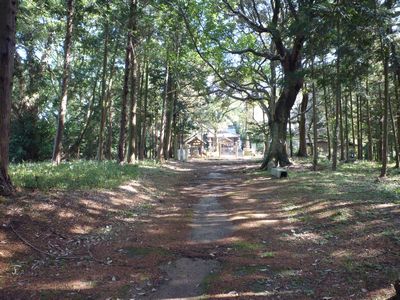 脇巫女２６　六獄神社縁起_c0222861_1336446.jpg