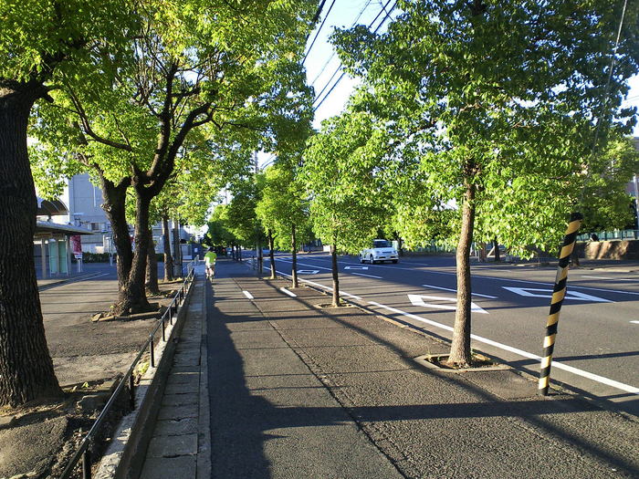 遊びに来てね_c0001670_21363293.jpg
