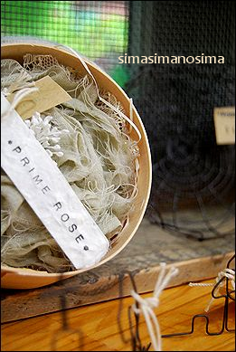 シマシマのシマ、明日会場でお待ちしています♪_a0105872_19174188.jpg