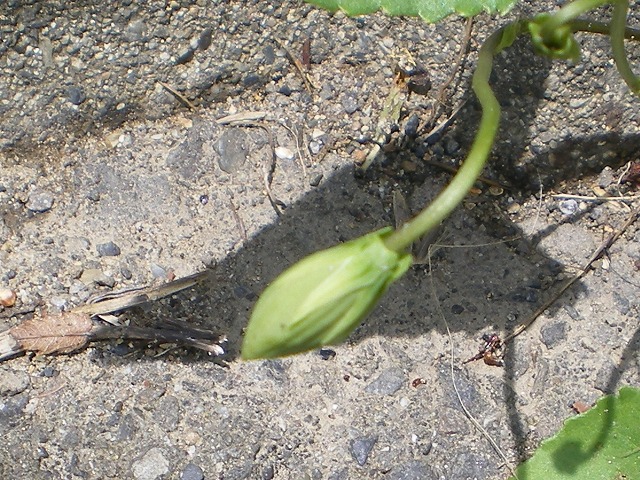 d0054276_19323163.jpg