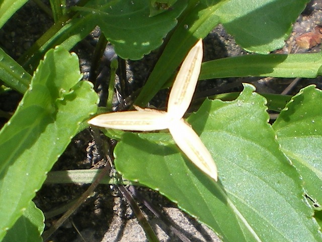 d0054276_19331897.jpg