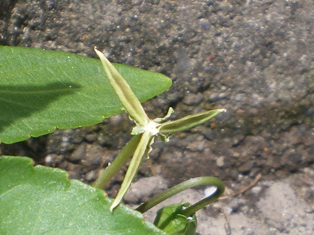 d0054276_1933595.jpg