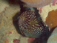 e0023100_169577.jpg