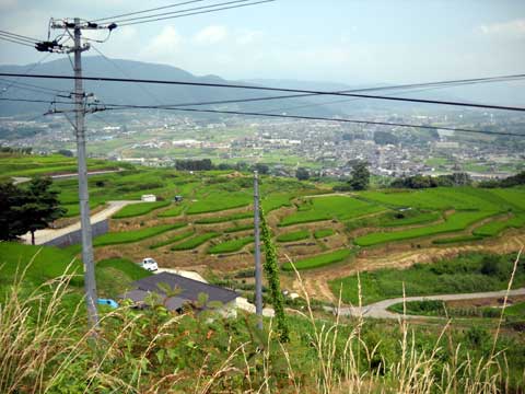 b0000209_16572846.jpg