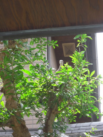 f0169509_22324.jpg