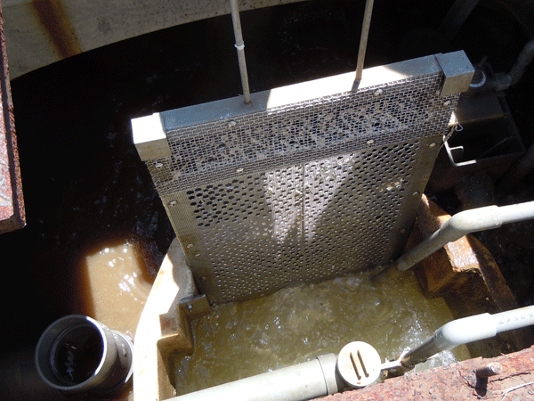 b0159611_232152.gif