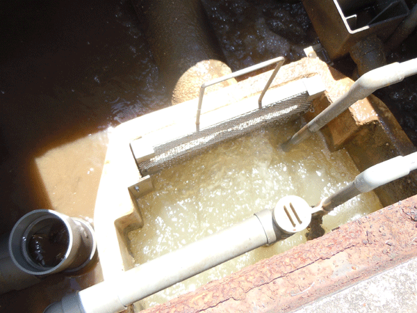 b0159611_2331563.gif