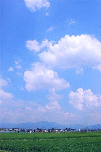 それは砂時計の砂のように。_c0116714_9213727.jpg