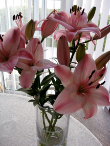 c0148627_1334062.jpg