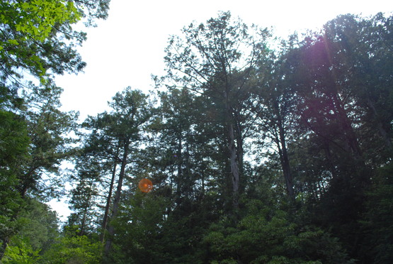 f0238332_142988.jpg