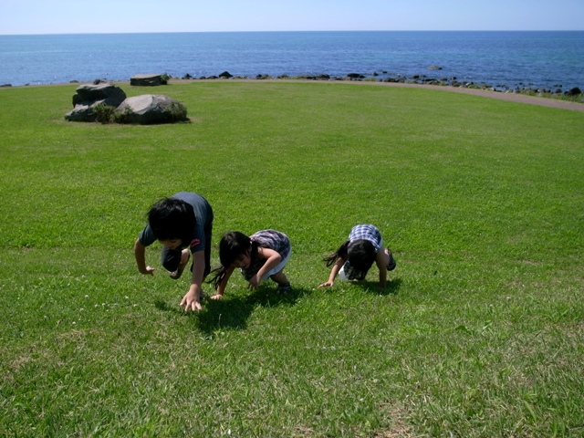 c0207233_23381298.jpg