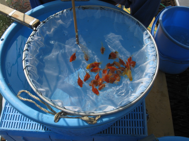 f0214235_09081.jpg