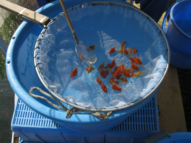 f0214235_091759.jpg