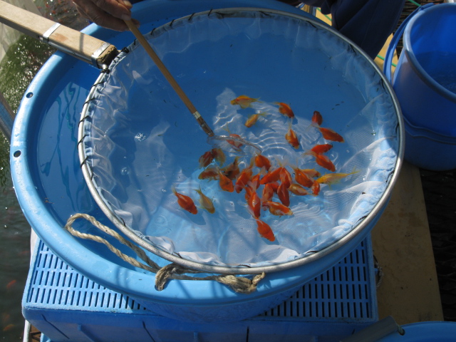 f0214235_093499.jpg