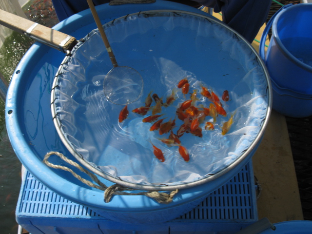 f0214235_09859.jpg