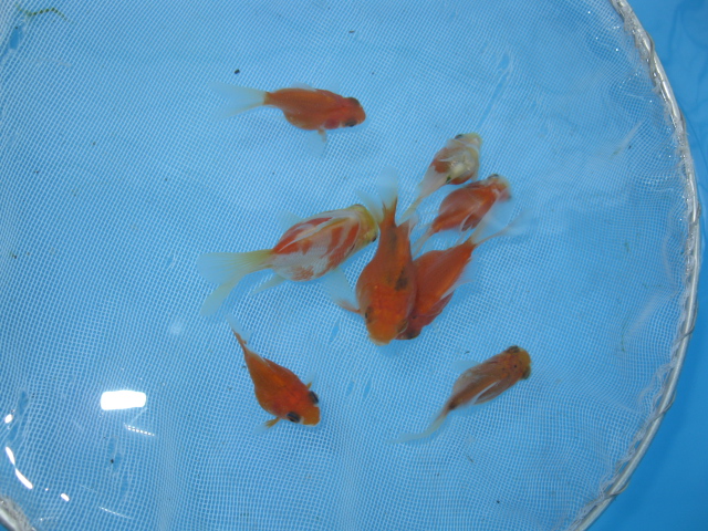 f0214235_23144555.jpg