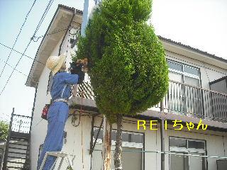 f0031037_18182922.jpg