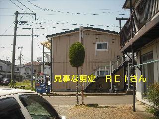 f0031037_1819185.jpg