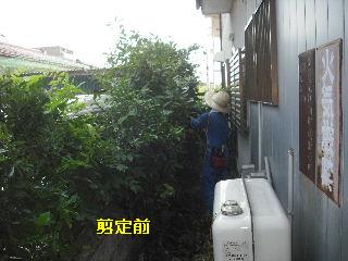 f0031037_18194130.jpg