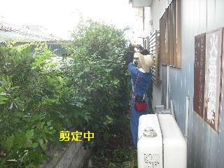 f0031037_18194896.jpg