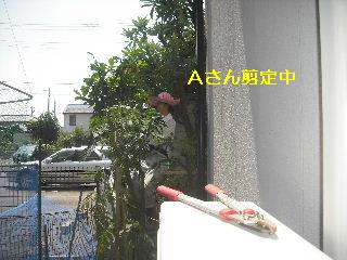 f0031037_18231768.jpg