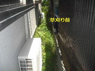 f0031037_18233675.jpg