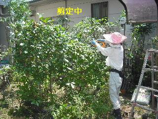 f0031037_18234556.jpg