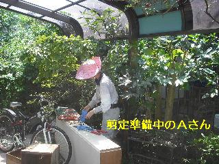 f0031037_1823938.jpg