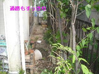 f0031037_18244340.jpg