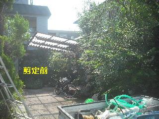 f0031037_18274875.jpg