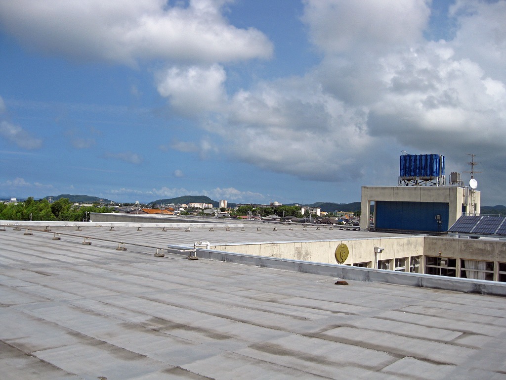 e0067043_945793.jpg