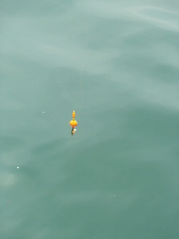 f0055150_16454628.jpg