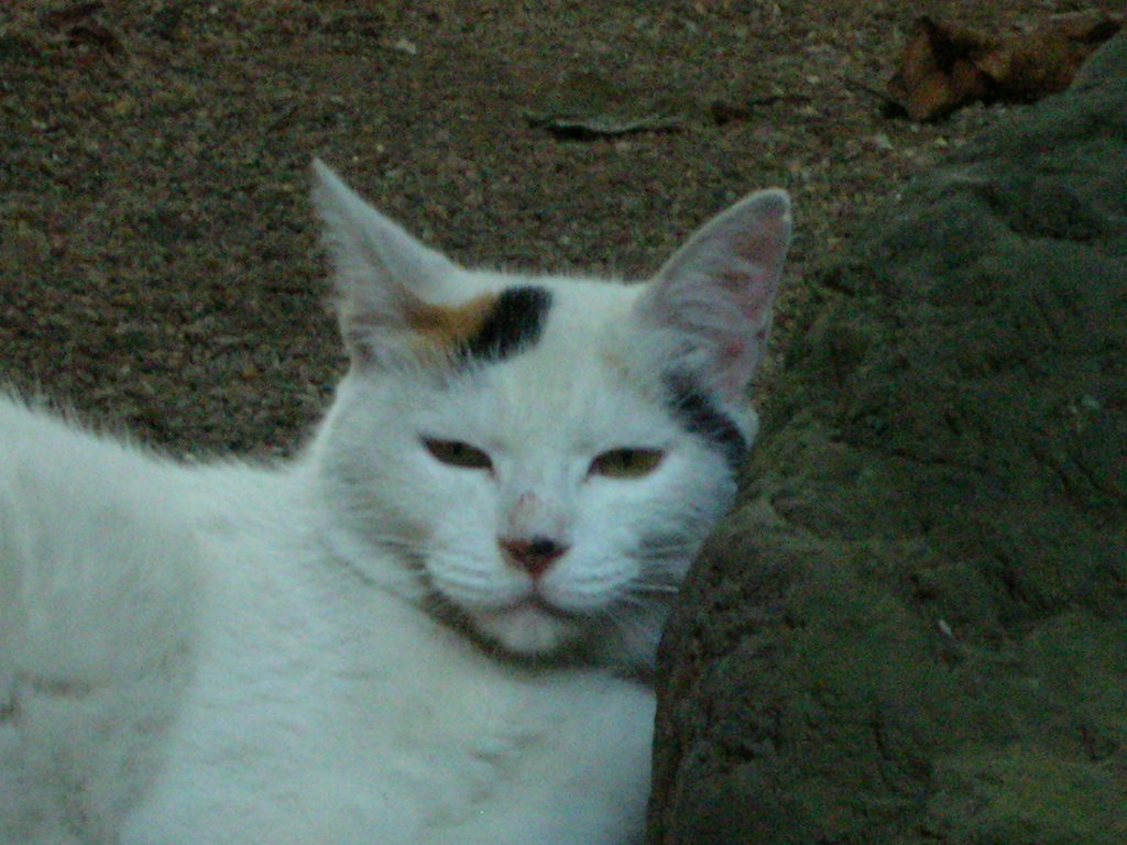 c0228356_2223674.jpg