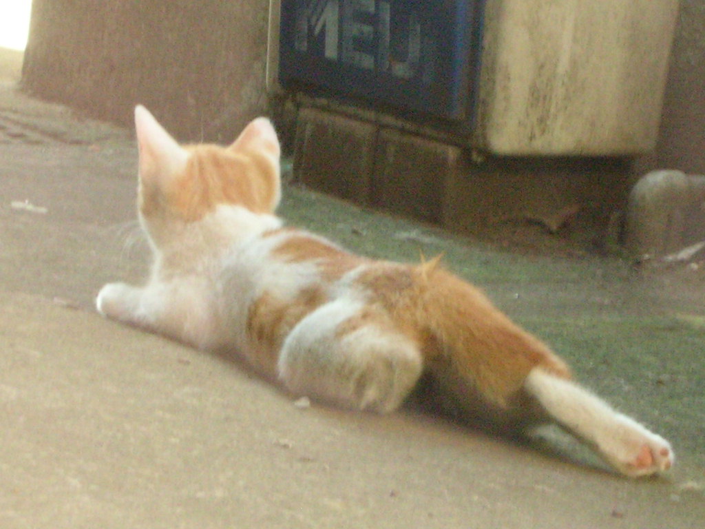 c0228356_22294018.jpg