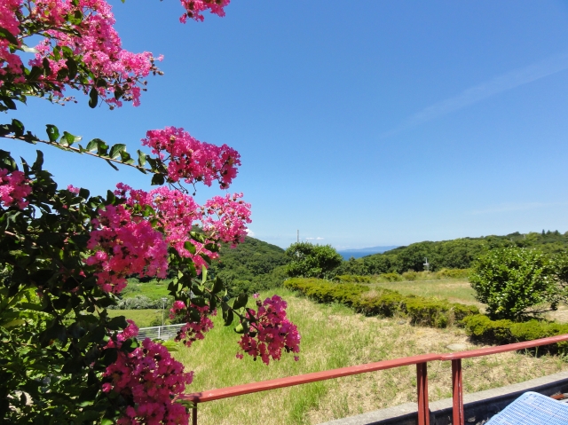 みさき里山クラブ８月度運営委員会_c0108460_1817769.jpg