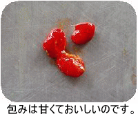 e0009760_1233506.gif