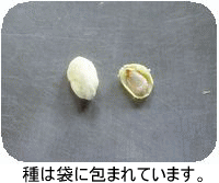 e0009760_1234419.gif