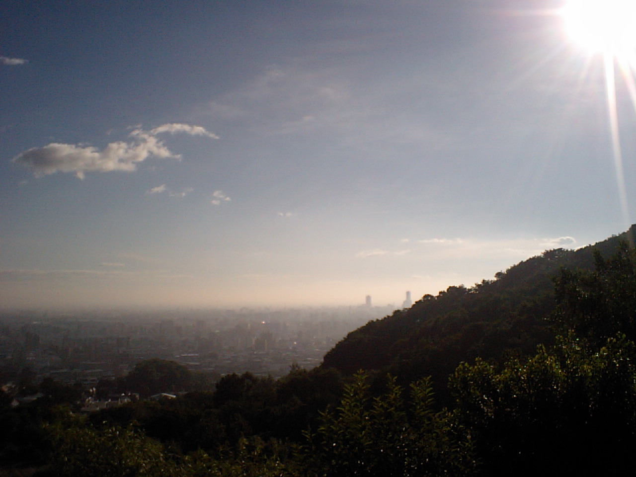 d0098665_17563464.jpg