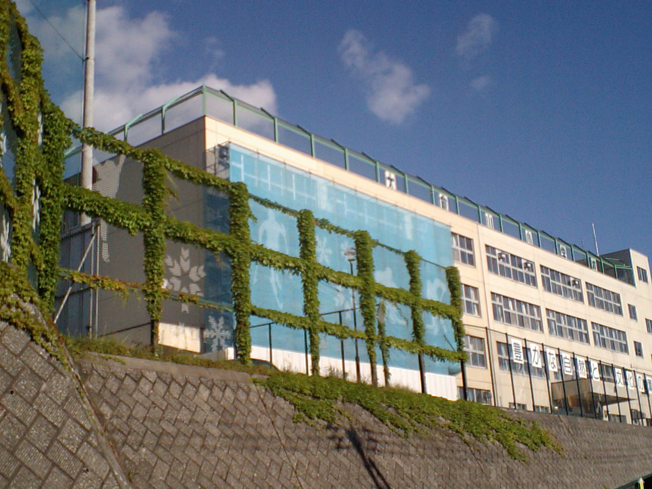 d0098665_1758960.jpg