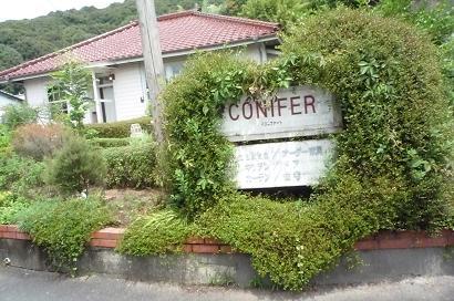 何かに見える_f0121167_964485.jpg
