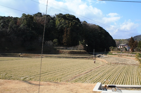 d0183368_23363910.jpg