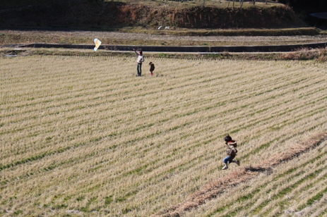 d0183368_2337145.jpg