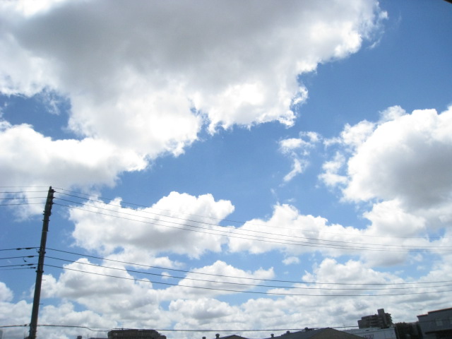 d0168669_12135430.jpg