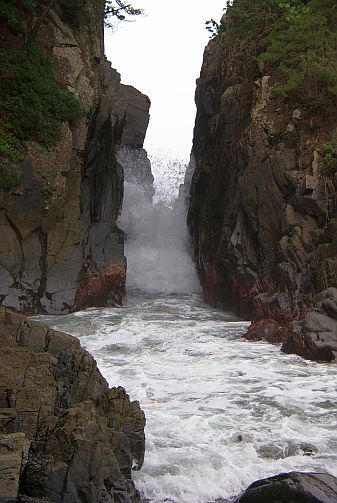 志津川旅行　神割崎_a0025476_22443213.jpg