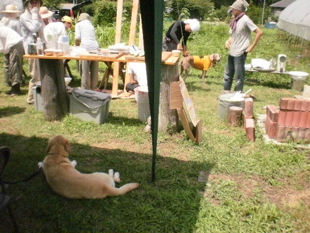f0052277_142663.jpg